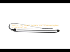 এমডব্লিউএম টিসিজি 3020 জেনসেট প্রতিস্থাপন 1245-3700 1237-2401 এর জন্য OEM স্পার্ক প্লাগ S-R6A22