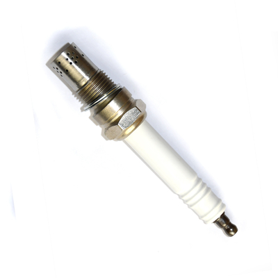 Jenbacher 347257/401824 Jenbacher 420 সিরিজের জন্য জেনারেটর স্পার্ক প্লাগ R10P3