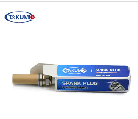 MWM TCG 3016 এর জন্য S-R6A19 প্রিচেম্বার ইন্ডাস্ট্রিয়াল স্পার্ক প্লাগ 12453566 12344841