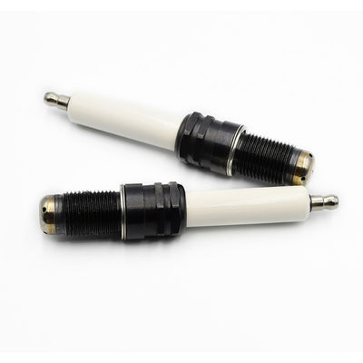 সিমেন্স SGE-56HM / SGE-56SM ইঞ্জিনের জন্য CH4 পাওয়ার স্টেশন স্পার্ক প্লাগ R6GC1-77S
